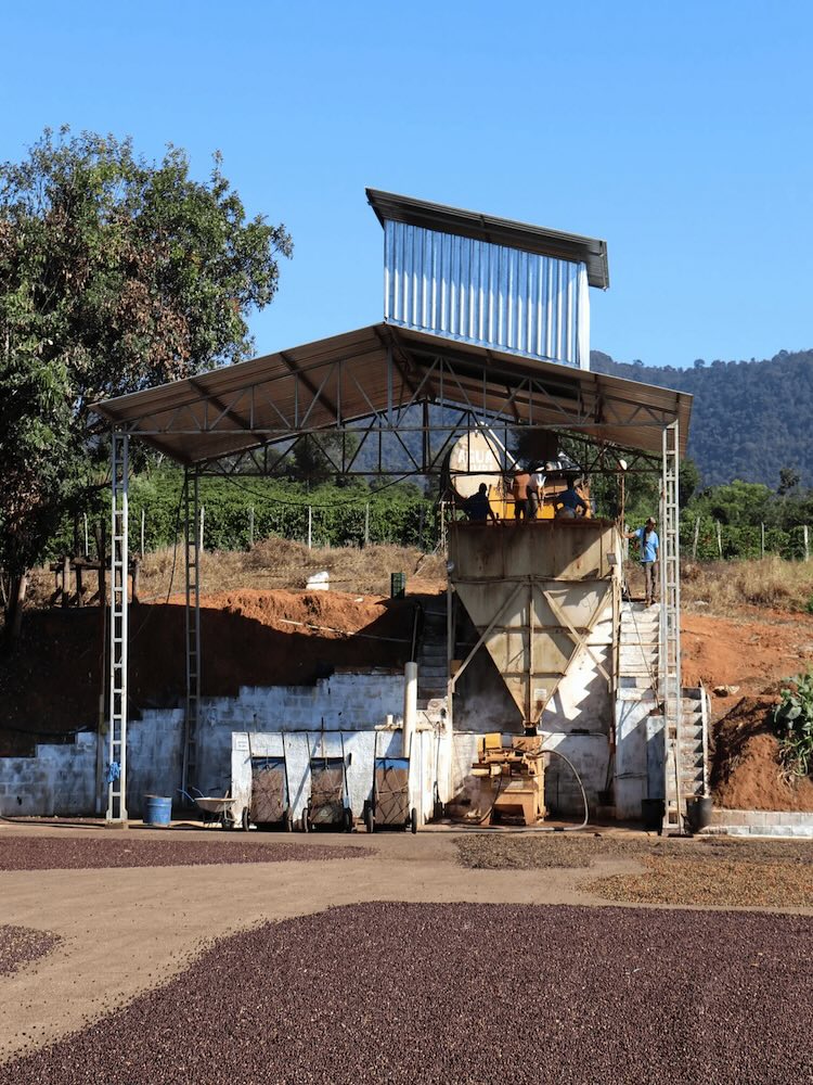 Plantacja kawy Fazenda Monjolo